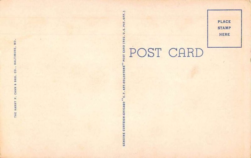 Rehoboth Beach Delaware Helopen Hotel from Du Pont Lake Vintage Postcard AA36146