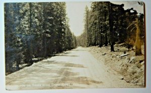 Vintage 40s Highway thru Timber Snowy Range Wyoming RPPC Photo Sanborn Postcard