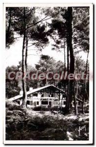 Postcard Old Hossegor Landes Villa Landes Basco