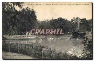 Old Postcard Montelimar park lake view of the Allee des Melezes