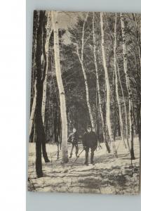 BERKSHIRES NY Cross Country Skiing on Trail Old PC