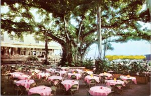 Postcard Hawaii - Moana Hotel  - Banyan Court Lanai