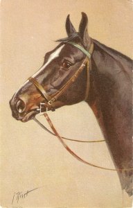 J.Rist. A Noble Horse Nice old vintage Swiss postcard. Signed