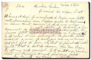 Old Postcard Cat Cats Kitten (drawing hand)