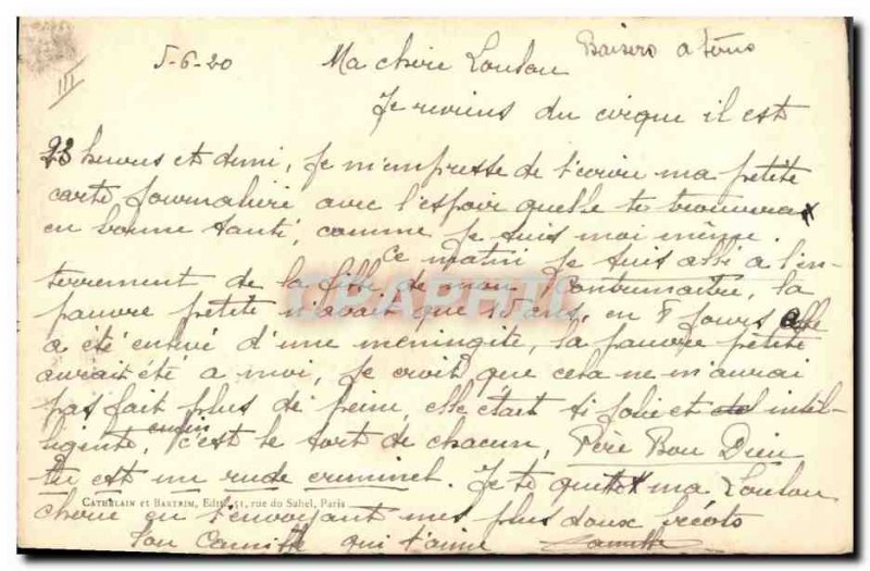 Old Postcard Cat Cats Kitten (drawing hand)