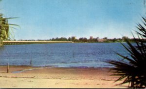 Florida Bradenton Manatee River Bridge From Palmetto