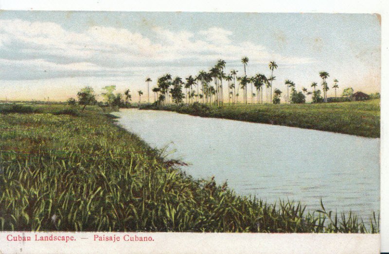 Central America Postcard - Cuba - Cuban Landscape - Ref 7027A