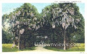 Lovers Lane - Camden, South Carolina SC  