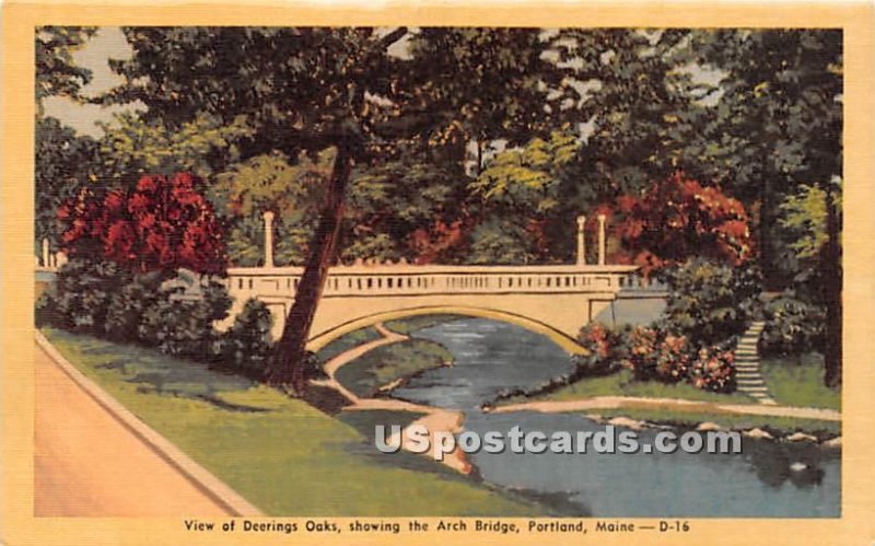 Deerings Oaks showing the Arch Bridge in Portland, Maine