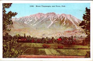 Postcard MOUNTAIN SCENE Provo Utah UT AM0518