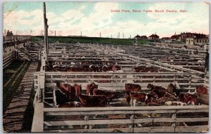 1910's Cattle Pens Stock Yards South Omaha Nebraska NB Posted Postcard