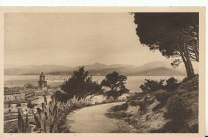 France Postcard - Saint Tropez - Vue sur le Golfe - Ref 9996A