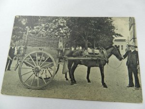Vintage Postcard St. Michaels Island Country Dress Portugal Carriage and Horse