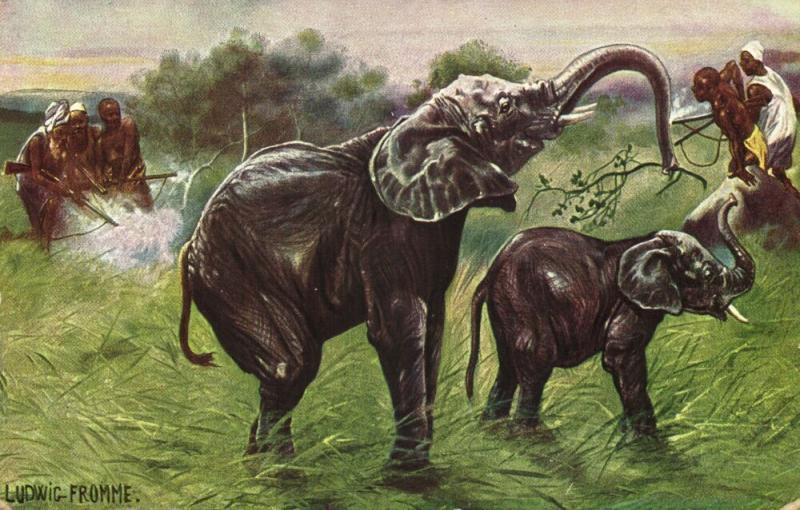 African Hunting Scene Elephants (1910s) Artist Signed Ludwig Fromme Postcard