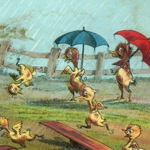 1880s J.H. & J.P. Thayer & Co. Anthropomorphic Chicks In Rain Comical P230