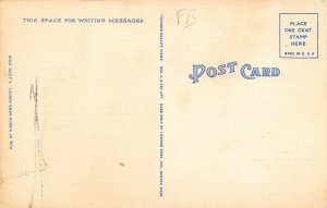 LP06  Toledo  Ohio Postcard Maumee River Bridge