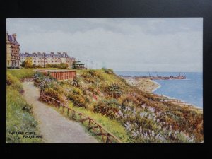 Folkestone THE LEAS CLIFFS - Old Postcard Pub By J Salmon 4164