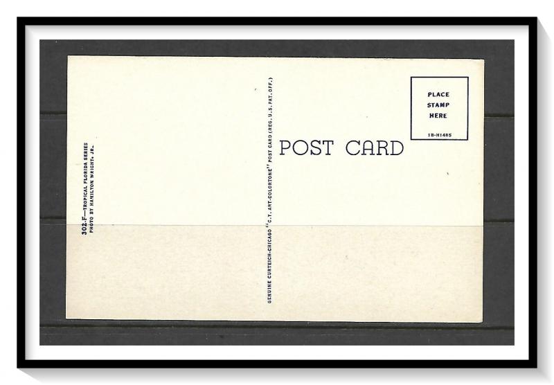 Florida, Key West - Overseas Highway Over Pigeon Key - [FL-034]