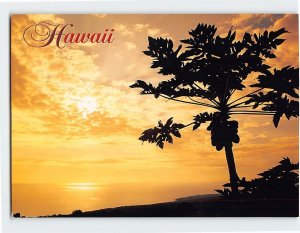 Postcard Beautiful South Kona Coast Sunset Hawaii USA