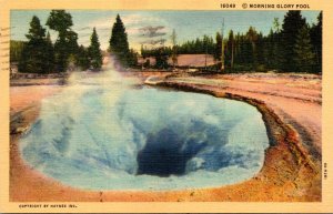 Yellowstone National Park Morning Glory Pool 1940 Curteich