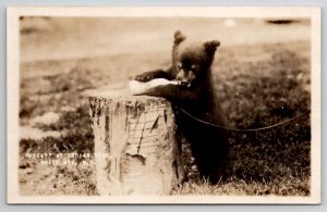 Bear Cub Peggy with Bottle RPPC Indian Head White Mts New Hampshire Postcard G22