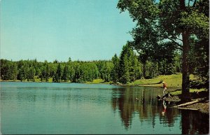 Fishing Drift Fence Lake Fort Apache Indian Reservation Maverick AZ VTG Postcard 