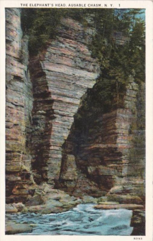 The Elephant's Head Ausable Chasm New York Curteich