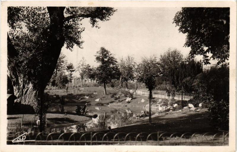 CPA Vichy Les Parcs et le Nouveaux Bassin des Cygnes (682805)