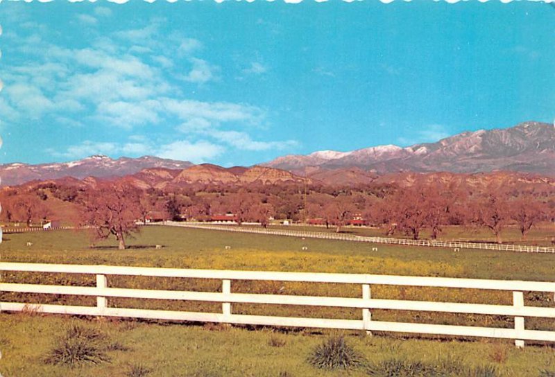 Mountain Valley Horse & Cattle Ranch   Southern California 
