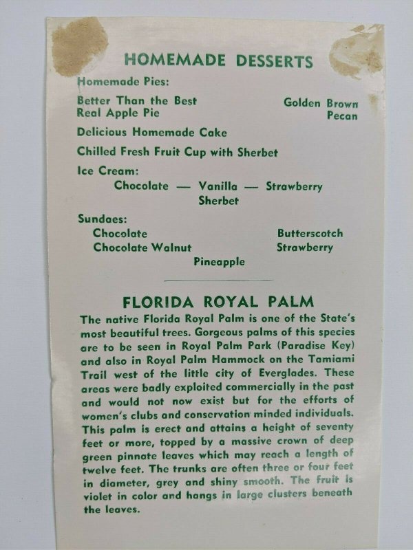 Vtg Royal Palm Restaurant Menu - Ormond Beach, Florida 