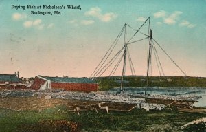 Bucksport ME-Maine, 1923 Drying Fish at Nicholson's Wharf, Vintage Postcard