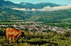 Venezuela Bocono Panoramic View