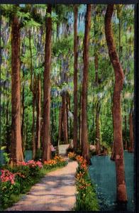 Cypress Gardens,Charleston,SC