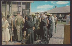 Pennsylvania Dutch Auction,Amish Postcard 