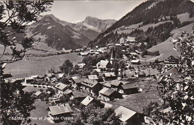 Switzerland Chateau d'Oex et Dent de Corjon Photo