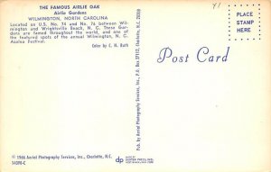 Famous Airlie Oak Wilmington, North Carolina NC