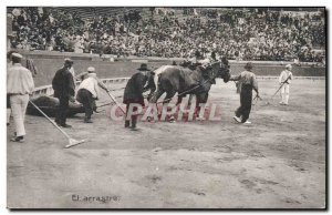 Postcard Old Bulls Bullfight Race the arrastre