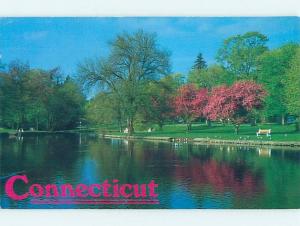 Modern Postcard MILFORD DUCK POND Milford Connecticut CT hn4976