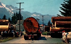 Logging In Oregon Truck Loaded With Giant Logs