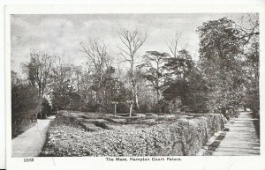 Middlesex Postcard - The Maze - Hampton Court Palace    Z419