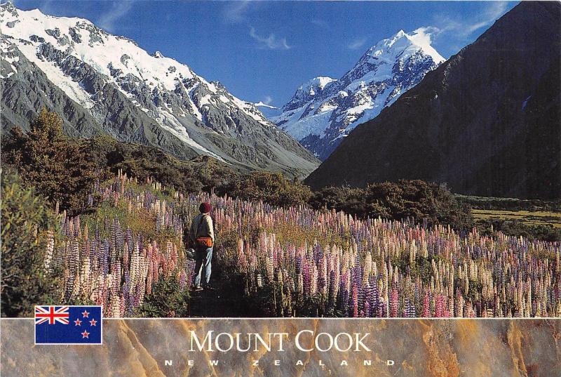 BG9428 mount cook new zealand landscape