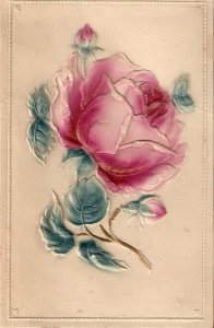 Pink Rose and Buds  Old vintage Spanish, embossed, postcard