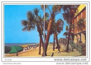 Palms in front of  Pavillion, Myrtle Beach, South Carolina, 40-60s