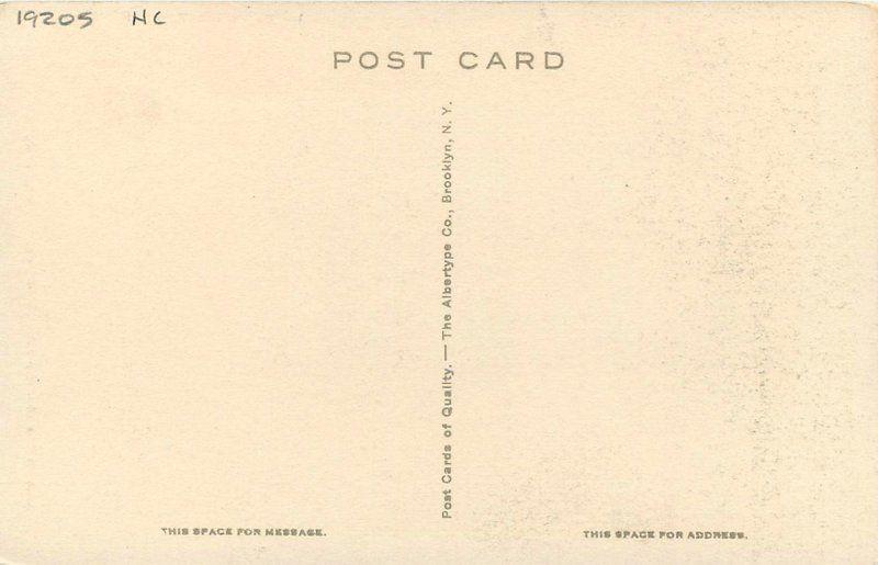 Albertype 1920s Charleston South Carolina Simonton Gateway postcard 5741