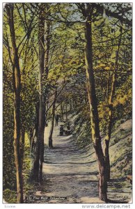 The Pine Walk, Folkestone, Kent, England, United Kingdom, PU-1931