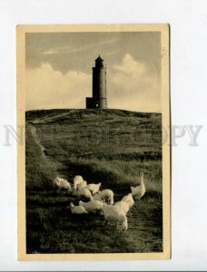 3173864 GERMANY BOHL St.Peters nordsee LIGHTHOUSE Vintage RPPC