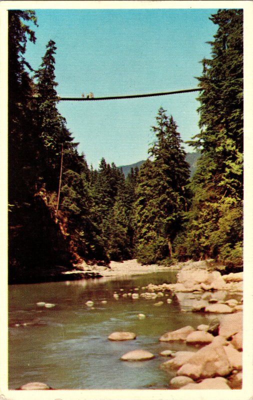 1960s Capilano Suspension Bridge Vintage Postcard Cable Bridge River Canyon