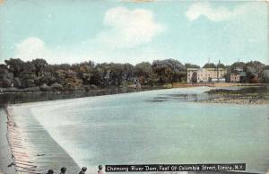 Elmira New York~Chemung River Dam by Columbia Street~c1910 Postcard