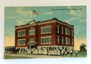 Ridgely Maryland MD Agricultural High School Vintage Postcard 