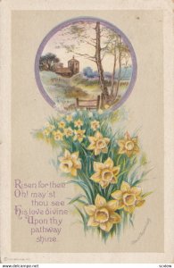 Yellow EASTER LIlly Flowers  , 1900-10s ; Clapsaddle